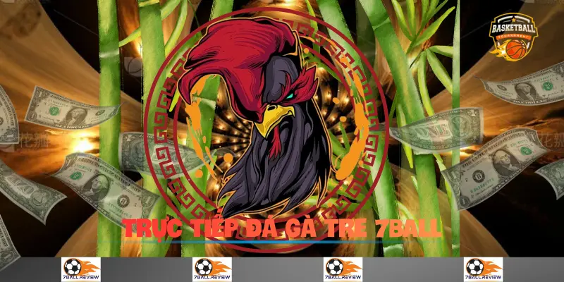 7Ball.review__Trực Tiếp Đá Gà Tre