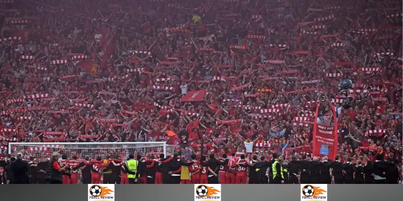 7Ball.review__phản hồi từ các bạn đọc