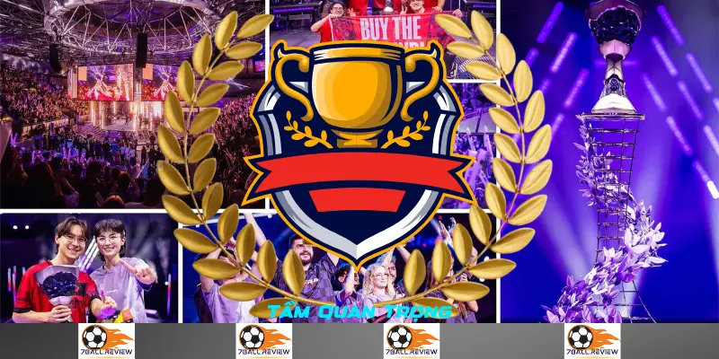 7ball.review__Tầm Quan Trọng